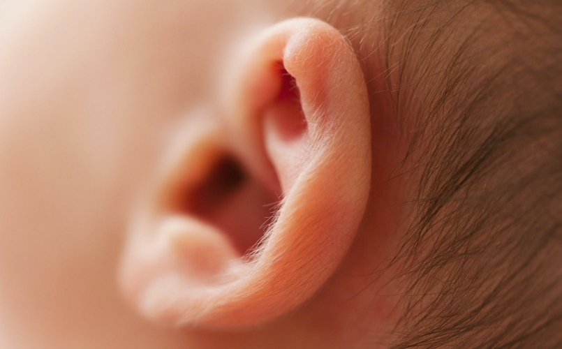 最初の患者移植のために承認された3Dプリントされたバイオプリントされた耳