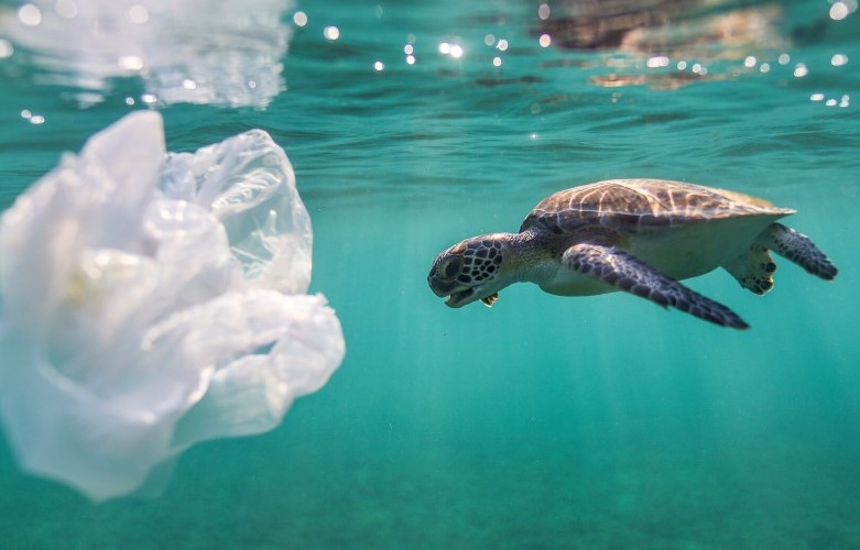 Un nuovo tipo di plastica si decompone nell'oceano in un mese