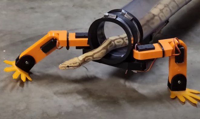 Ein begeisterter Ingenieur hat ein Exoskelett für Schlangen geschaffen, damit sie auf ihren eigenen Beinen laufen können.