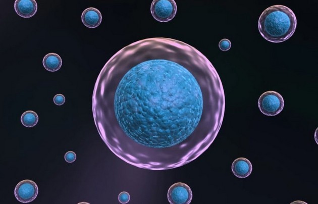 Anti-Aging-Moleküle versetzen die Zellen sicher in einen jugendlichen Zustand