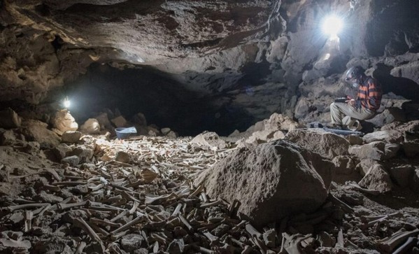 Archäologen haben eine Höhle gefunden, in der Hyänen seit Jahrhunderten ihre Beute schleppen