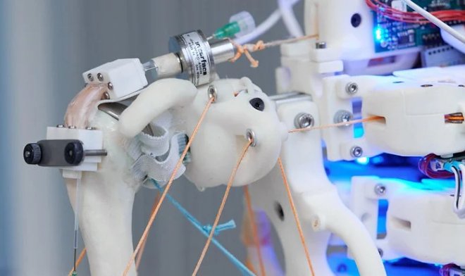 Roboterschulter zum Züchten idealer Sehnen für die Transplantation