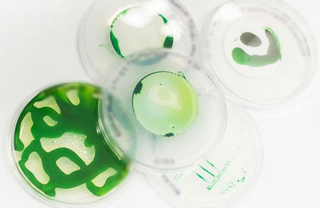 Bactérias comedoras de óleo fornecerão o hidrogênio mais barato do mundo