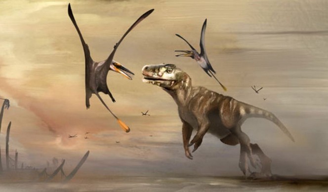 Dearc sgiathanach - une nouvelle espèce de grand ptérosaure découverte