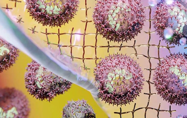 Nova embalagem permitirá que vacinas sejam armazenadas sem refrigeração