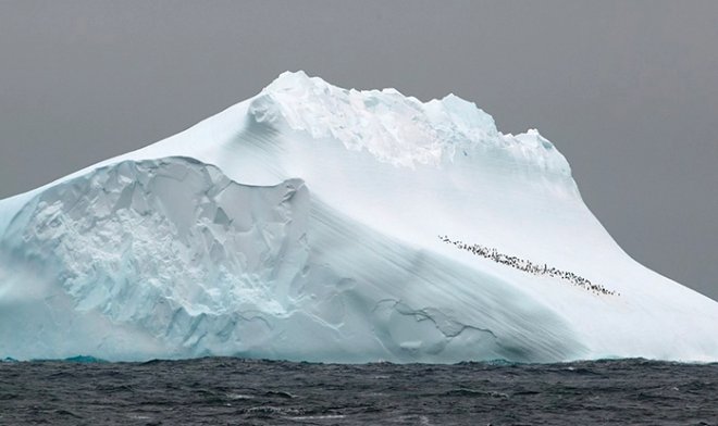 DNA di 1 milione di anni trovato in Antartide