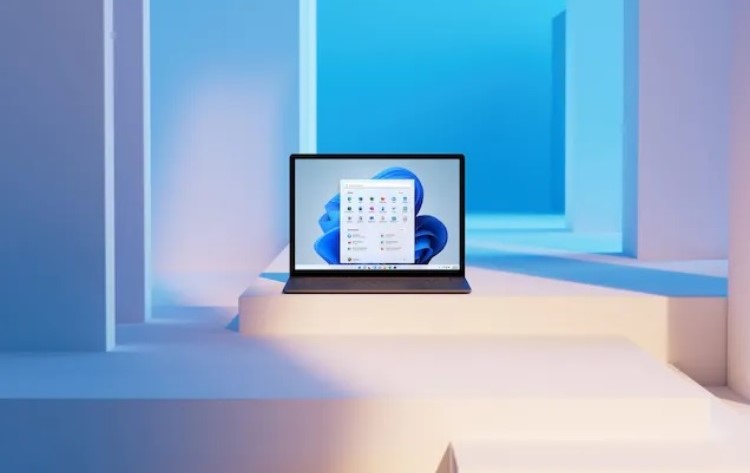 Windows 11은 Windows 7보다 2배 더 인기를 얻었습니다.