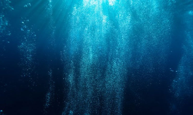 하와이, 바다에서 이산화탄소 제거 벤처 착수