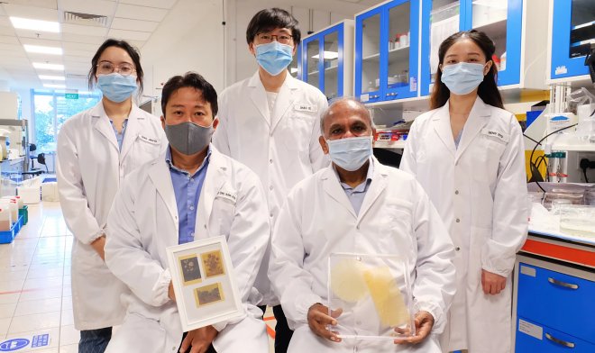科学者たちはヒマワリの花粉から再利用可能な生態学的な紙を作成しました