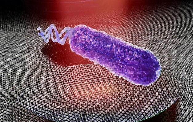 Bakteriengeräusche wurden mit einer Graphenmembran erkannt