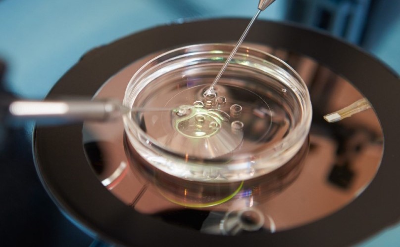 Das Startup Dioseve wird es unfruchtbaren Frauen ermöglichen, eigene Kinder zu bekommen