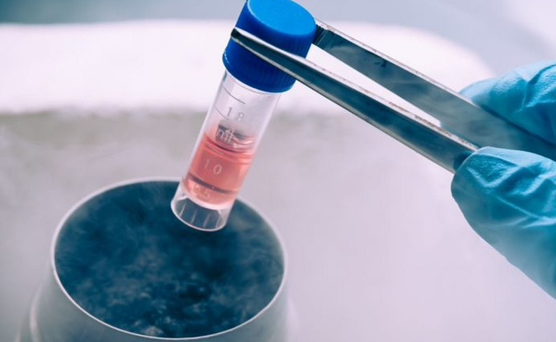 I bambini nati da embrioni congelati hanno un rischio maggiore di cancro