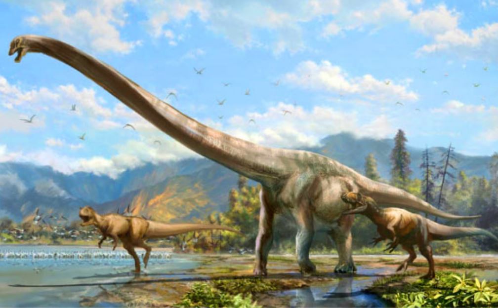 Perijasaurus lapaz - eine neue Art von langhalsigen Dinosauriern entdeckt