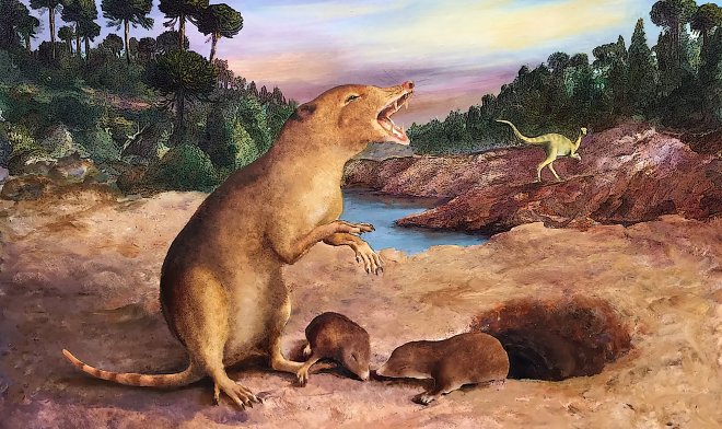 Gli scienziati scoprono il mammifero più antico della Terra