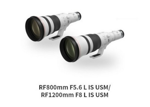 Canon의 RF800mm 및 RF1200mm 초망원 렌즈의 첫 번째 이미지