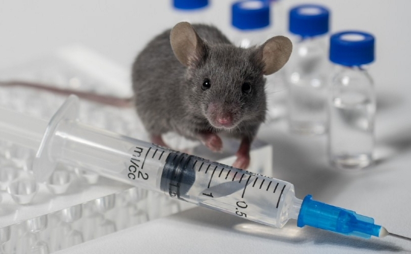 HIV薬はマウスの記憶を回復します