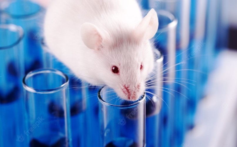 Medikamentenkombination stoppt den aggressivsten Lungenkrebs