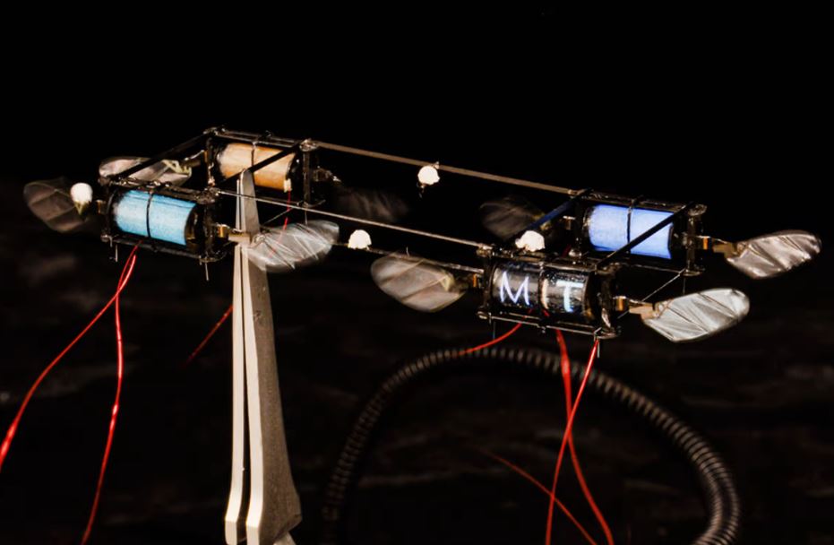 Firefly-Roboter leuchten mit jedem Flügelschlag