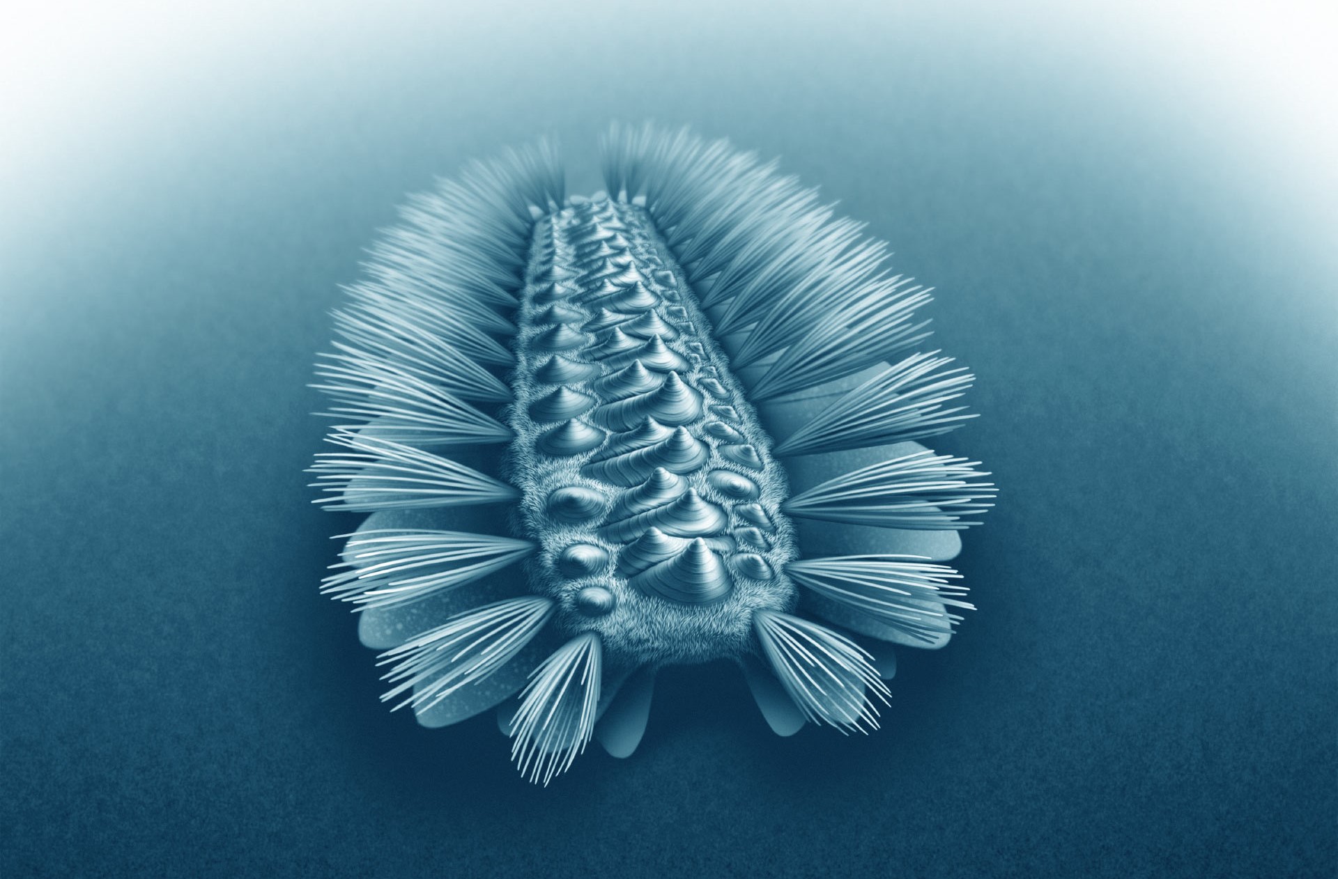 Wufengella é um verme blindado de 518 milhões de anos