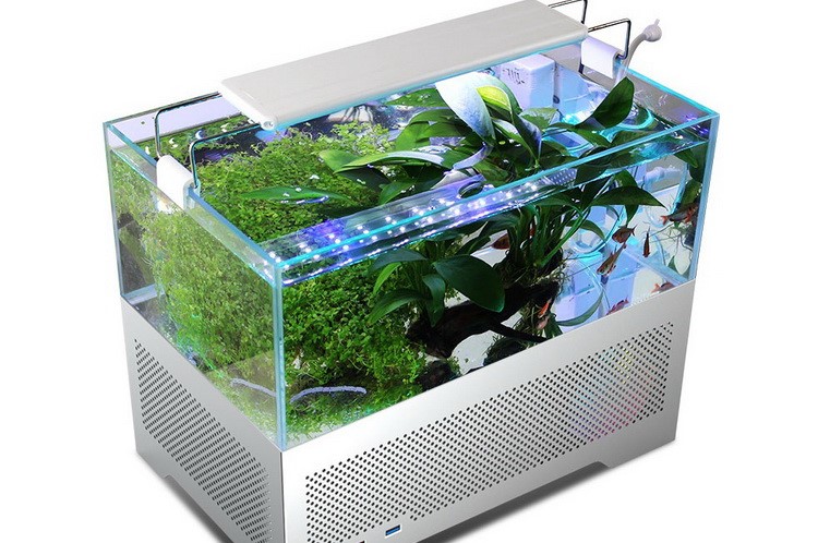 中国で魚の水槽を内蔵したパソコンケースを発売