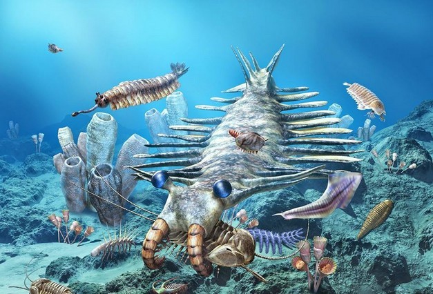 Qual è la teoria dell'evoluzione di Darwin?