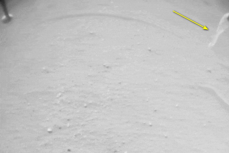 Oggetto non identificato bloccato sull'elicottero marziano Ingenuity