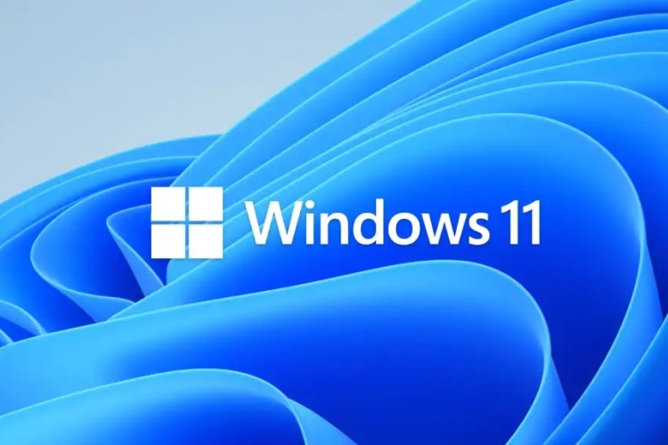 Microsoft는 Windows 11 베타 테스터를 두 그룹으로 나누었습니다.