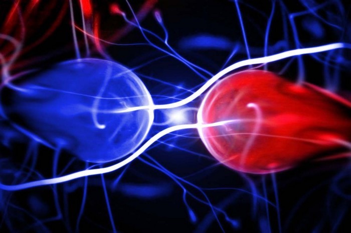 I fisici del CERN indagano se l'antimateria cade verso l'alto o verso il basso