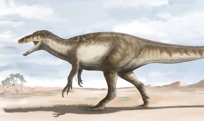 Ãœberreste des grÃ¶ÃŸten Megaraptors der Geschichte, die in Patagonien gefunden wurden
