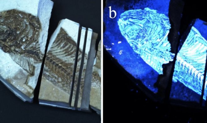 Ferramenta BioFinder encontrará vestígios de vida em outros planetas