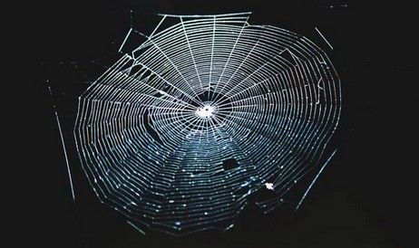 Cientistas transformaram teia de aranha em instrumento musical