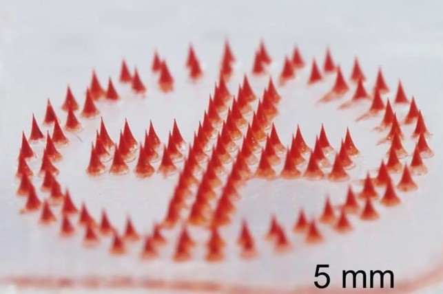 Les patchs Microneedle rendent les tatouages ​​bon marché