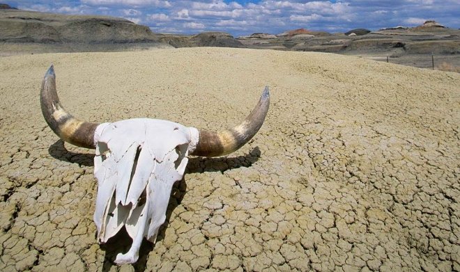 O governo dos EUA lançou um site para combater as consequências do calor monstruoso