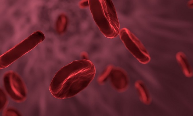 Un test sanguin peut-il indiquer l'heure sur l'horloge interne du corps ?