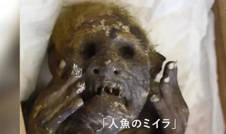 Japanische Wissenschaftler lüften das Geheimnis der 300 Jahre alten Mumie einer Meerjungfrau aus Okayama