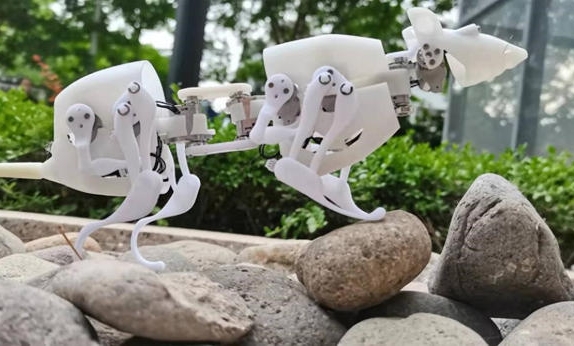 La Chine a construit un robot ressemblant à un rat SQuRo
