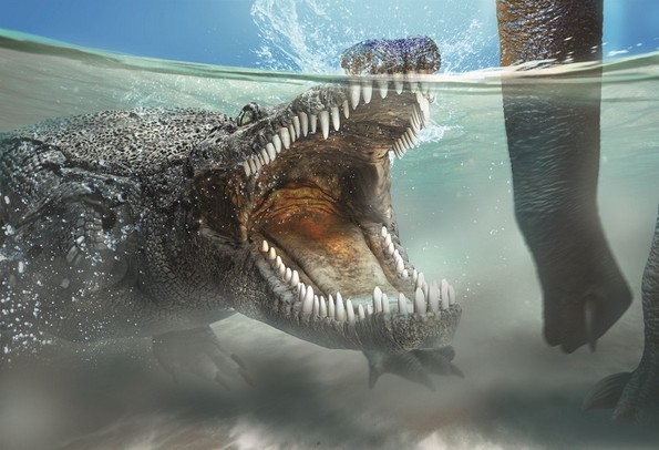 喉のパラタインバルブは、古代のワニが恐竜を生き残るのを助けました