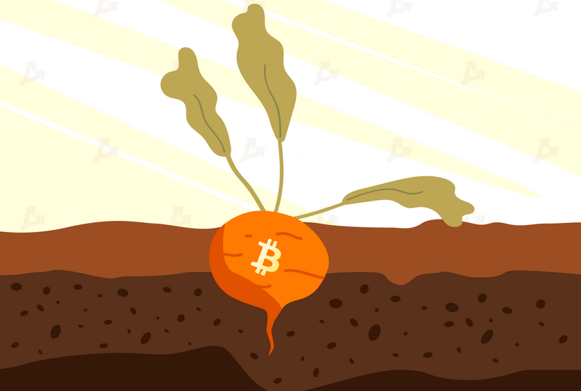 비트 코인 네트워크에서 Taproot 업데이트 활성화가 시작되었습니다.